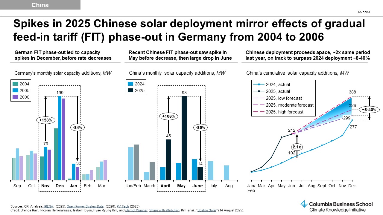 CKI Slide Analysis Image