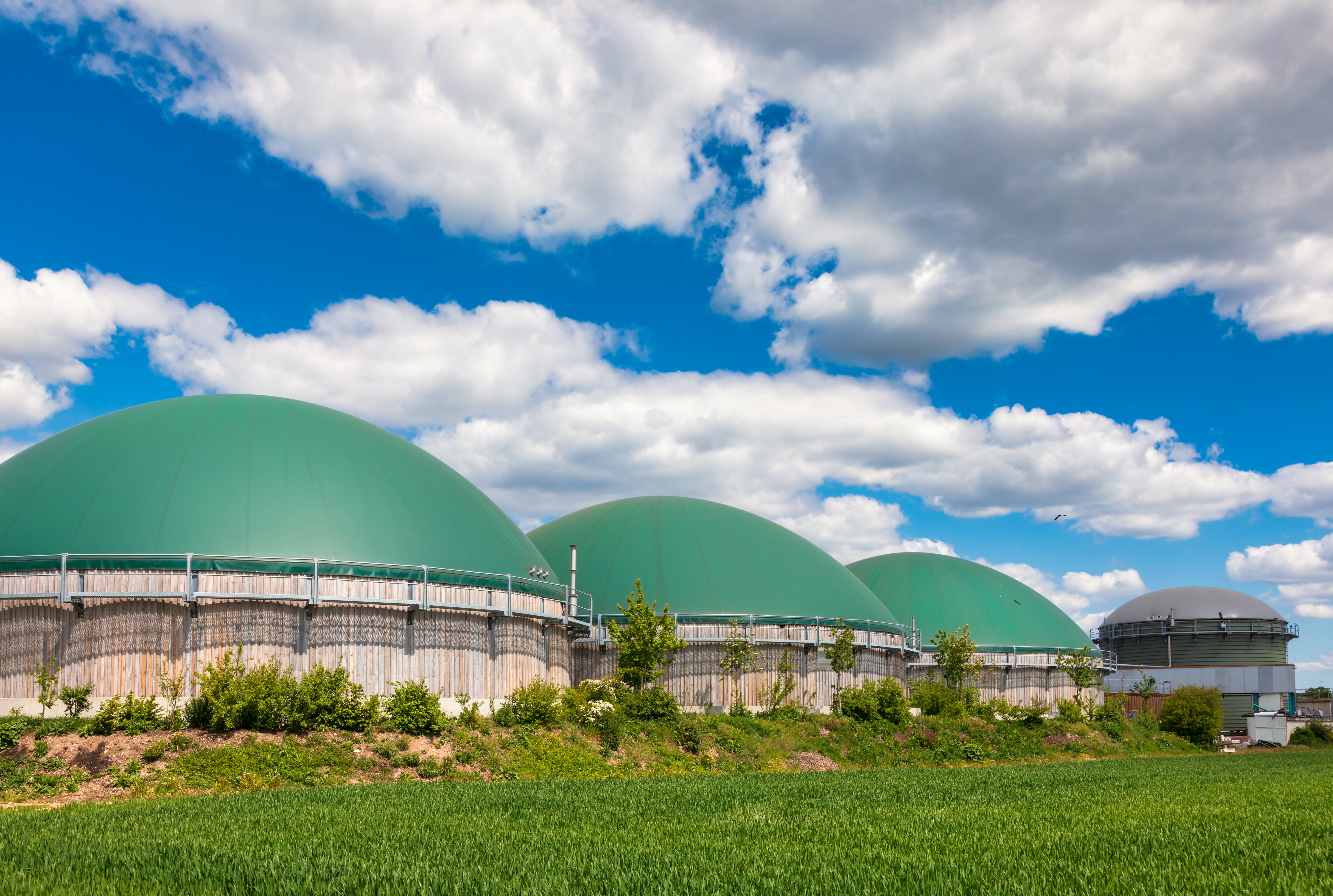 Biofuels | Columbia Business School