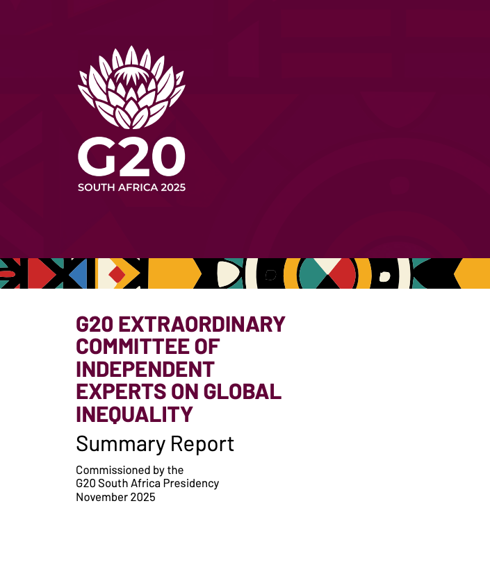 G20 Summary Report Image