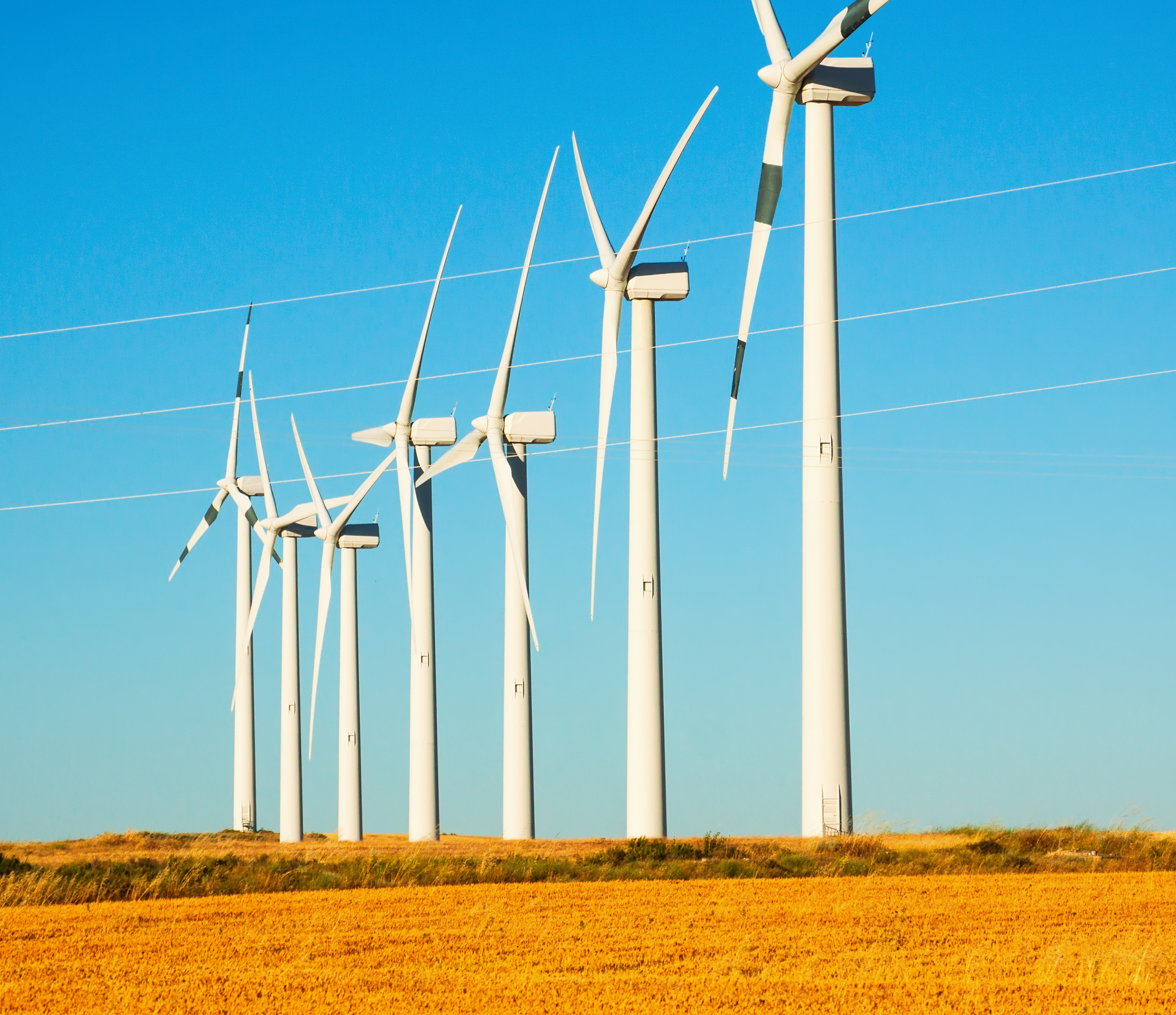 Climate Week Section Break Image