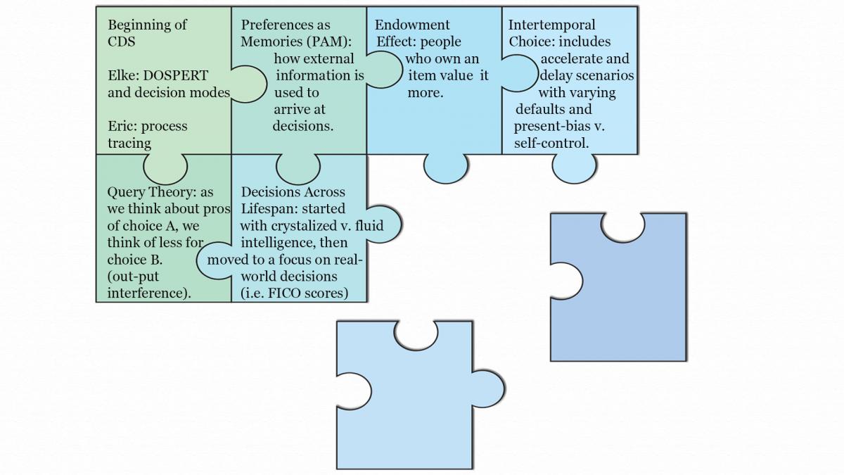 Puzzle piece diagram of the components of CDS