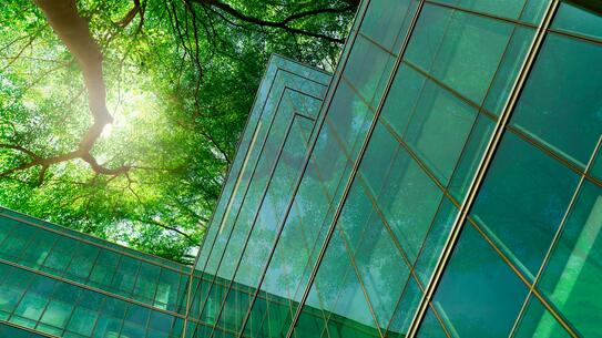 Glass buildings and green trees