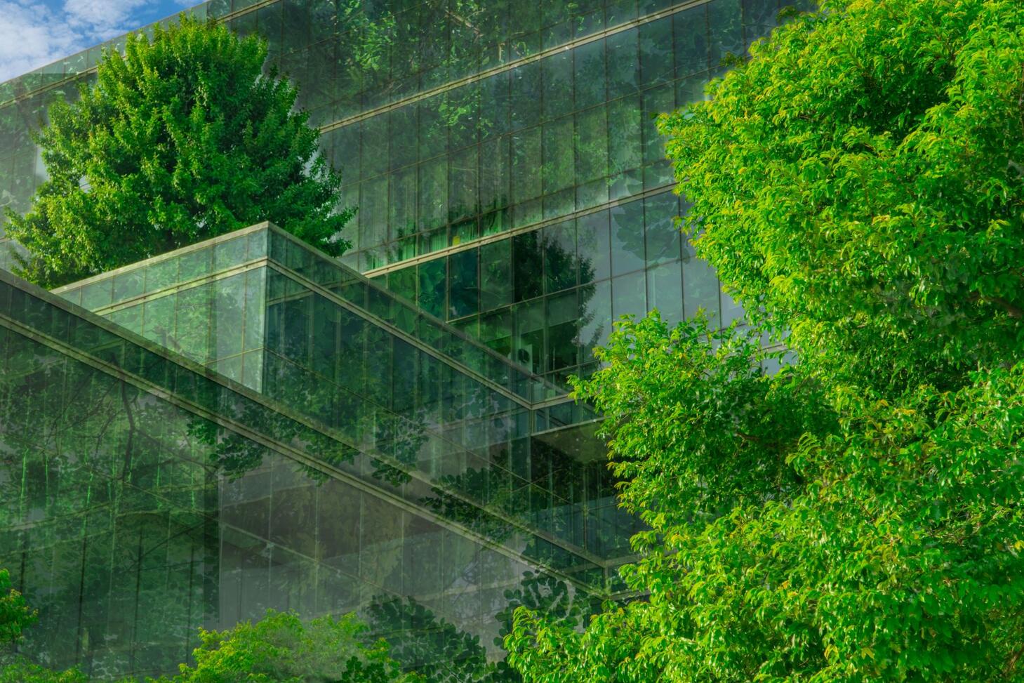 A glass building surrounded by tall green trees