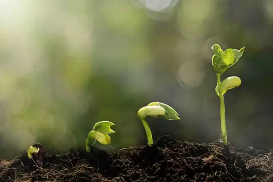 12 Essential Steps to Raise Capital