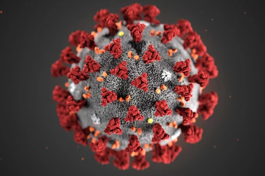 Covid-19 virus cell
