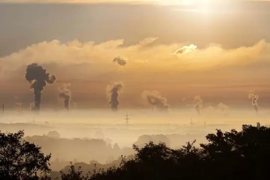 We Already Know How to Curb Climate Change