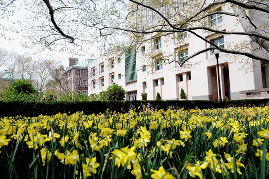 NSVC's mentoring day at Columbia Business School