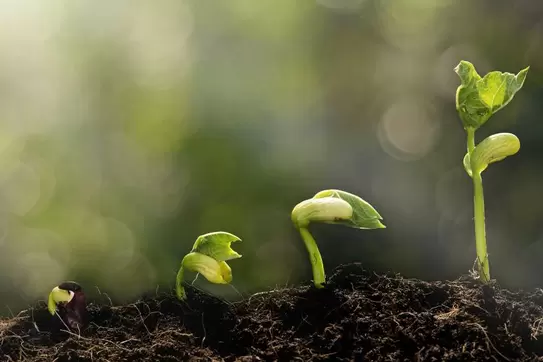 10 Alumni VCs Share their Best Advice for Entrepreneurs