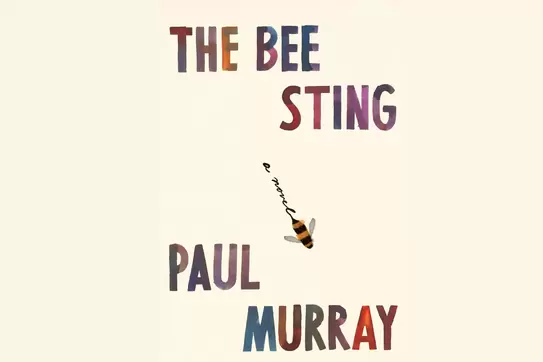 Image featuring The Bee Sting book cover by Paul Murray