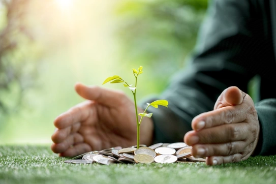 How Markets Can Help Protect Life On Earth