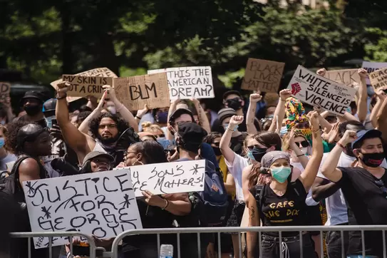 Protestors
