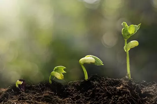Three Steps Your Company Can Take to Set the Stage for Growth