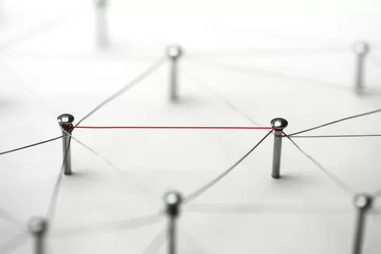 To Maximize Returns, Target the Network