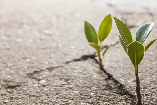There's More Than One Route to Doing Well by Doing Good