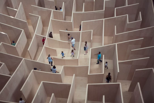 people in a maze