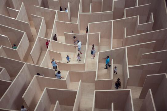 people in a maze