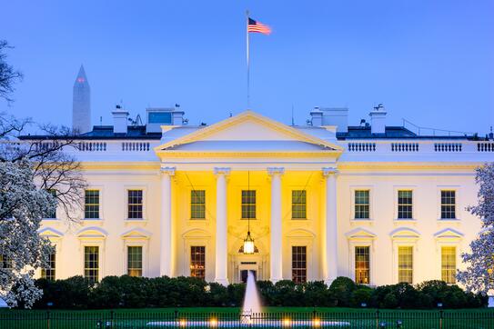 white house at night