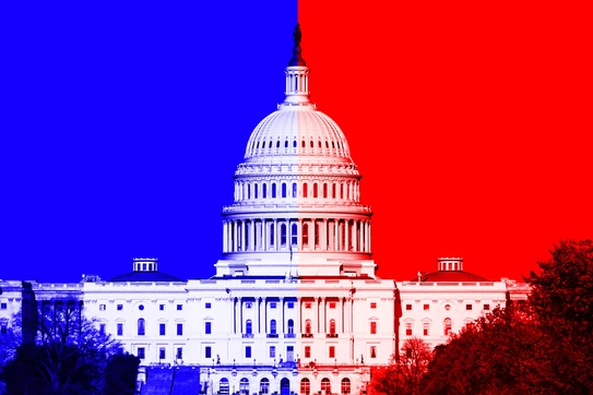 How Political Polarization Is Changing Consumer Behavior and Brand Choices