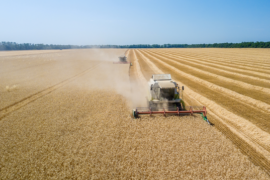Innovation Growth Strategies for Lynchpin Industries