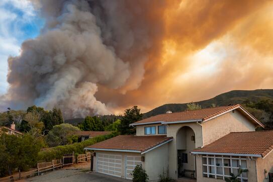 LA wildfires