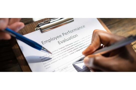 Employee Performance Evaluation And Appraisal. Employer Feedback