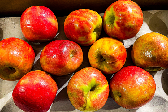 From People to Produce: How Appearance Bias Fuels Food Waste