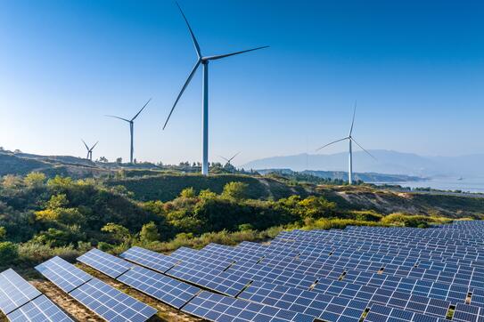 Solar panels and wind power generation equipment.