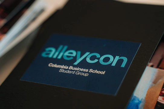 Alleycon Divider Image