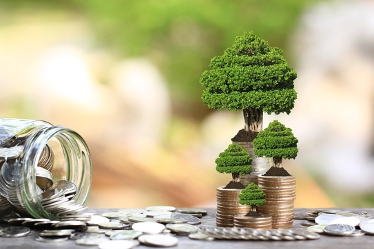 How to get Canada’s pension funds to invest more in startups Photo Image