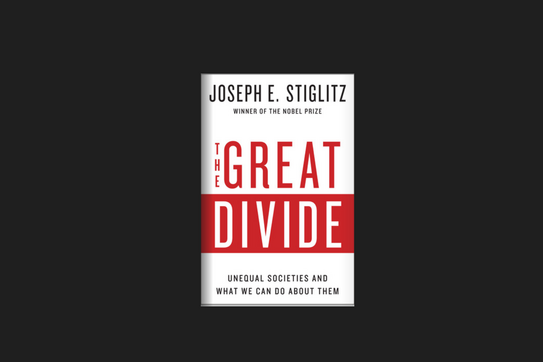 Photo Image of The Great Divide: Unequal Societies and What We Can Do About Them