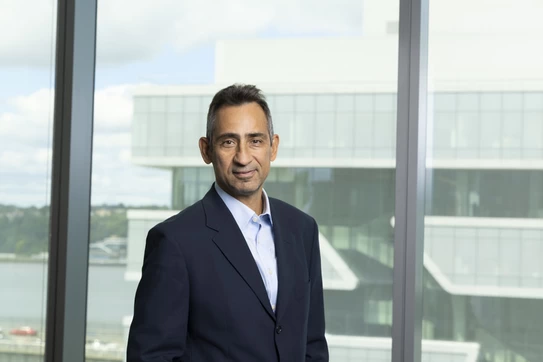 Achilles Venetoulias, Adjunct Professor of Business
