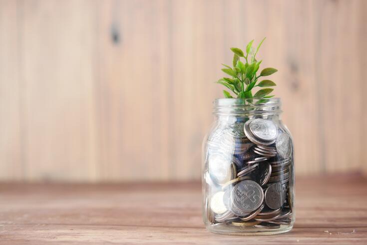 A small green plant planted in a glass jar full of silver coins