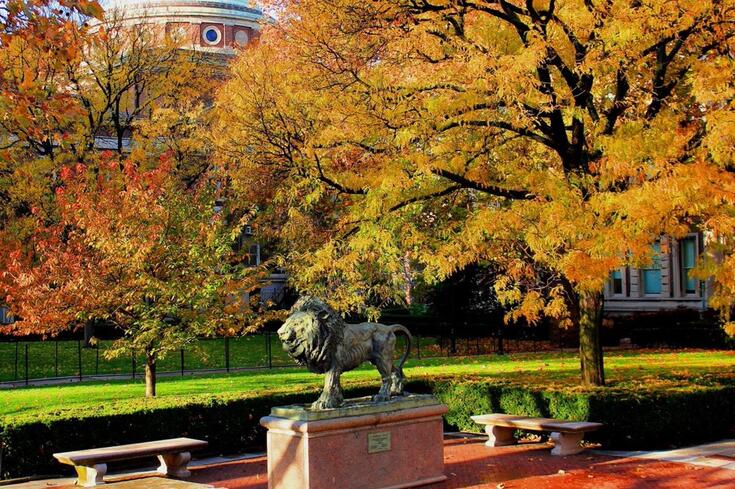 Columbia University campus in fall