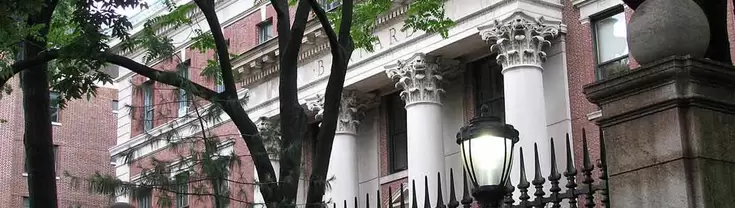Barnard College canopy through the foliage