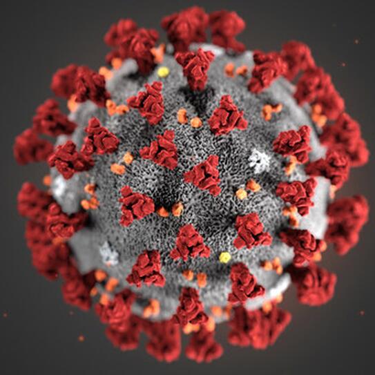 Covid-19 cell