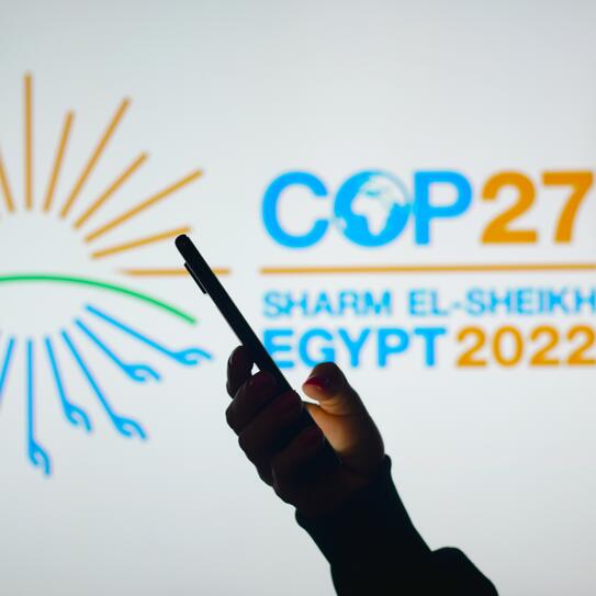 CBS Panel at COP27 Tackles Financing the Transition to Net Zero