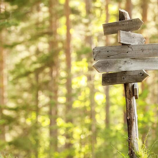 Wood post with signs in the middle of a forest