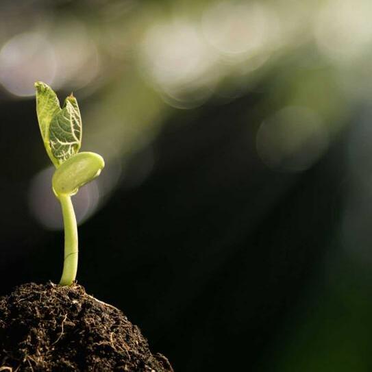 Investing in Startups