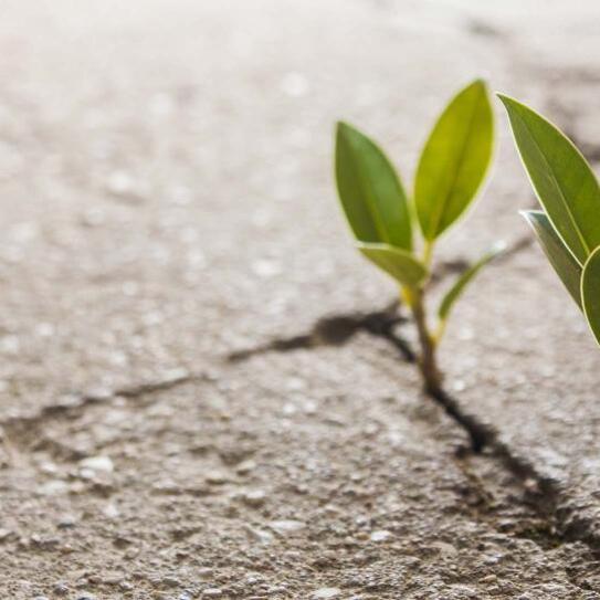 There's More Than One Route to Doing Well by Doing Good