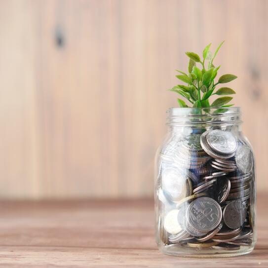 A small green plant planted in a glass jar full of silver coins